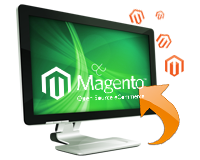 Magento data entry