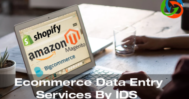 Ecommerce Data Entry