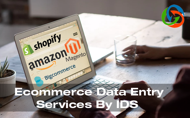 Ecommerce Data Entry