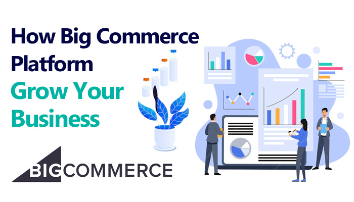 Grow Your BigCommerce Store